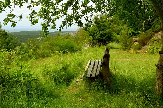 一项技术表 一项技术表