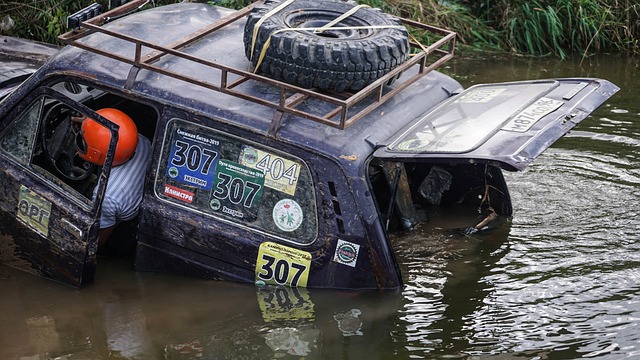 找到了多特 找到了多特