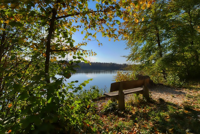 心理层面的 心理层面的