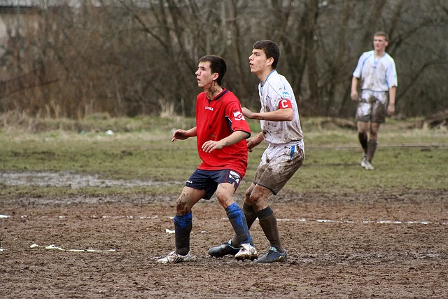 年特朗普政 年特朗普政