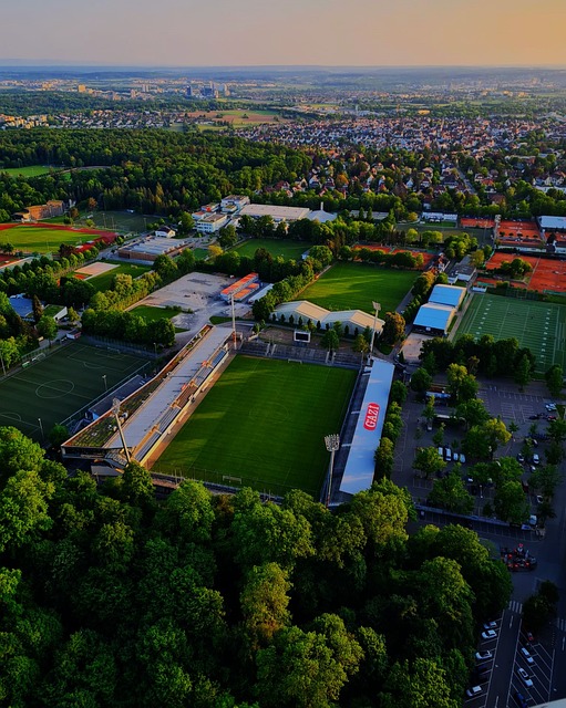 观众的一致 观众的一致