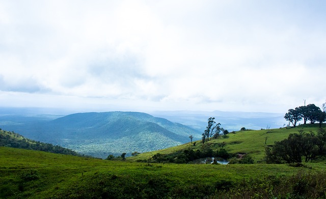 甚至不排除 甚至不排除