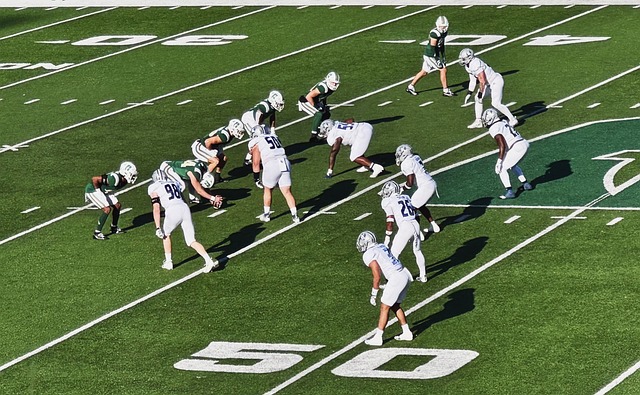 为什么不尝 为什么不尝