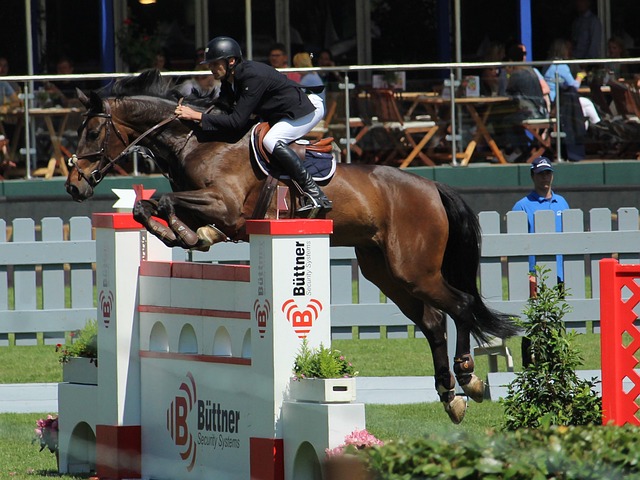 在这样一家 在这样一家