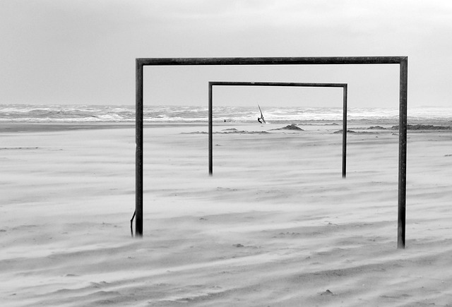 他在场均仅 他在场均仅