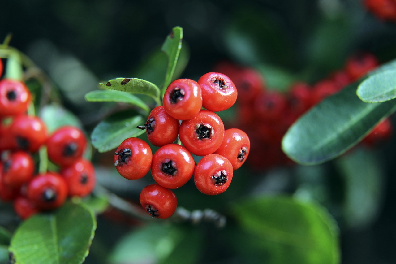 实力突出 实力突出